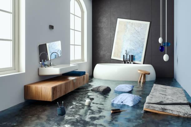 Best Professional water damage repair  in Hooper, UT