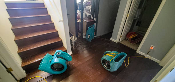 Best Flood damage cleanup  in Hooper, UT