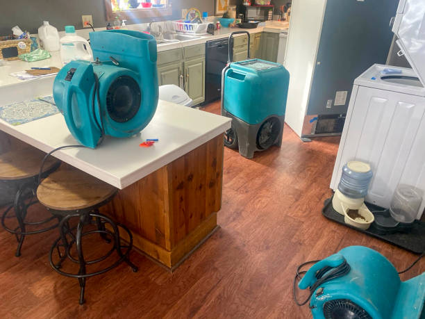 Best Commercial water damage restoration  in Hooper, UT
