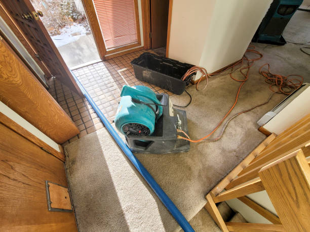 Best Emergency water damage restoration  in Hooper, UT