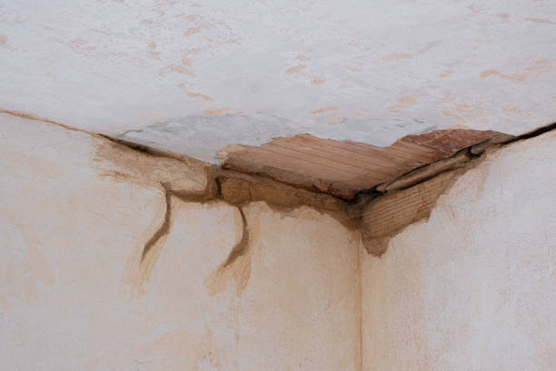 Best Flood damage cleanup  in Hooper, UT