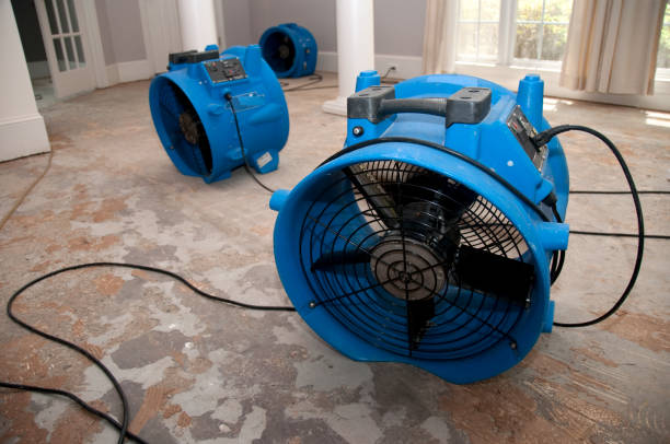 Best Fire Damage Restoration  in Hooper, UT
