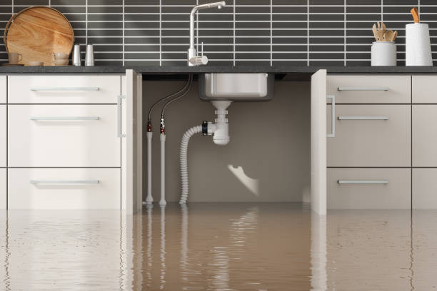 Best Water damage contractors near me  in Hooper, UT